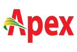Apex